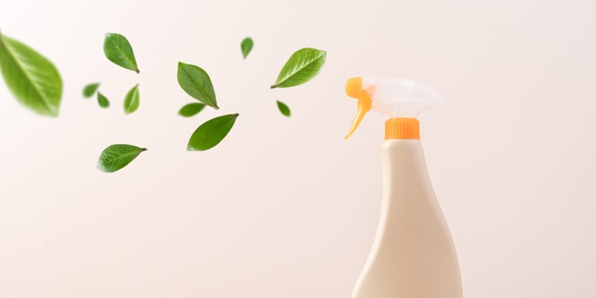 How do you maintain a green office